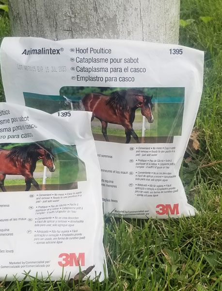 Animalintex Poultice Pad 1-each