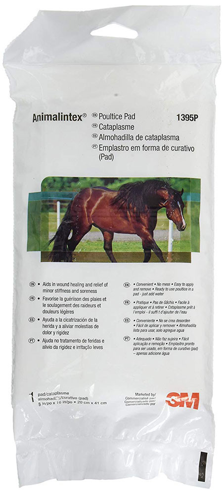 Animalintex Poultice Pad 1-each