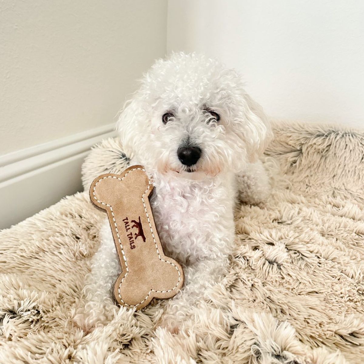 Tall Tails Natural Leather & Wool Bone Dog Toy – 6 inch