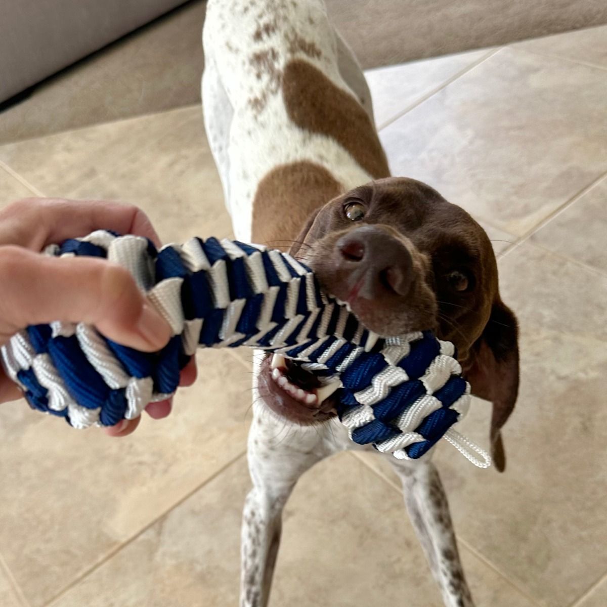 Tall Tails Navy Braided Bone Dog Toy – 9 Inch