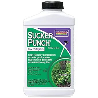 Bonide Sucker Punch Knock out Sprouts 8 oz
