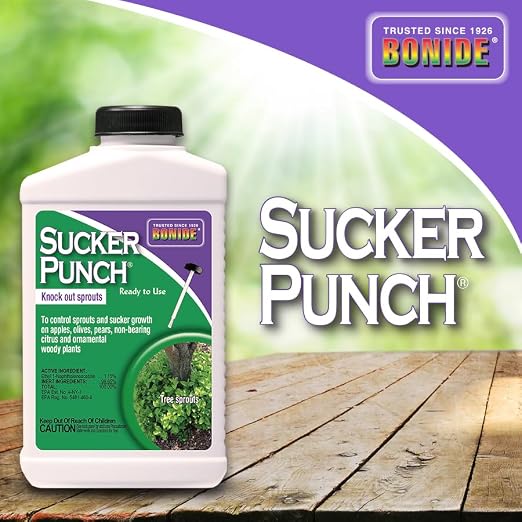Bonide Sucker Punch Knock out Sprouts 8 oz