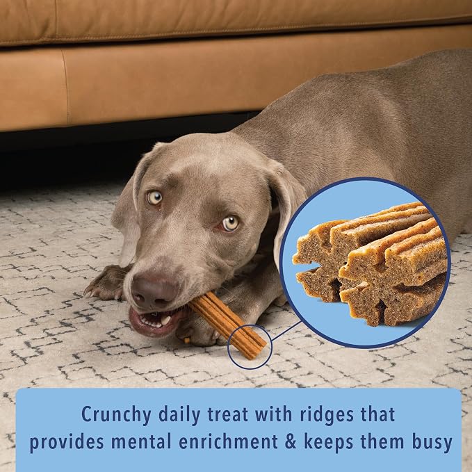  Angels' Eyes Sea Sticks Multi-Benefit Dog Treats, Small 24 Count
