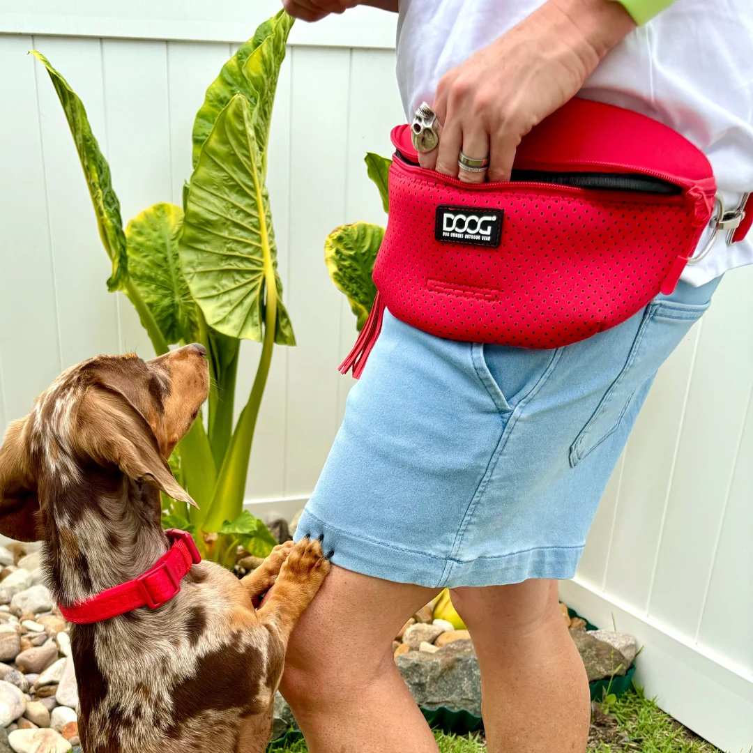 DOOG NeoSport Hip Belt Red – Hands-Free Dog Walking & Running Belt for Active Pet Owners