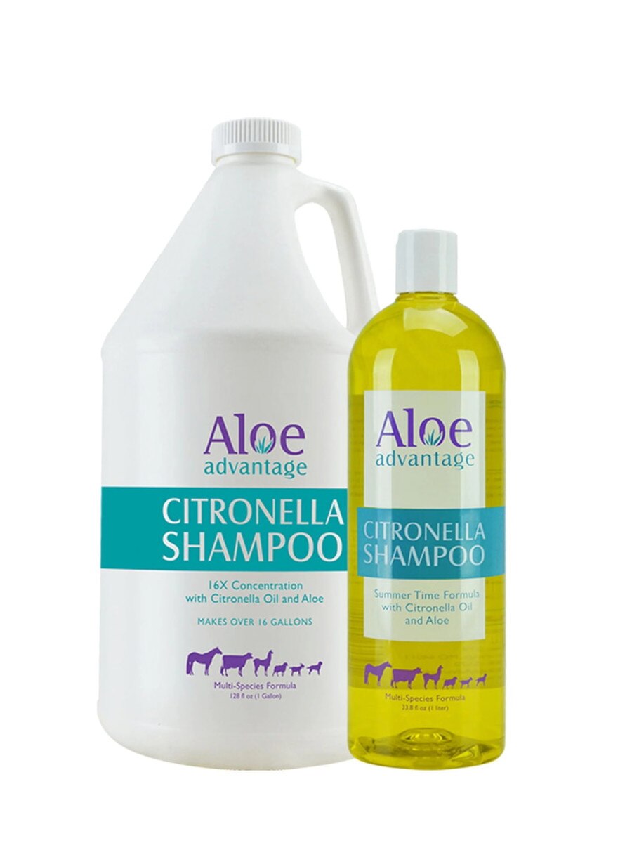 Aloe Advantage Citronella Shampoo, 1-Liter