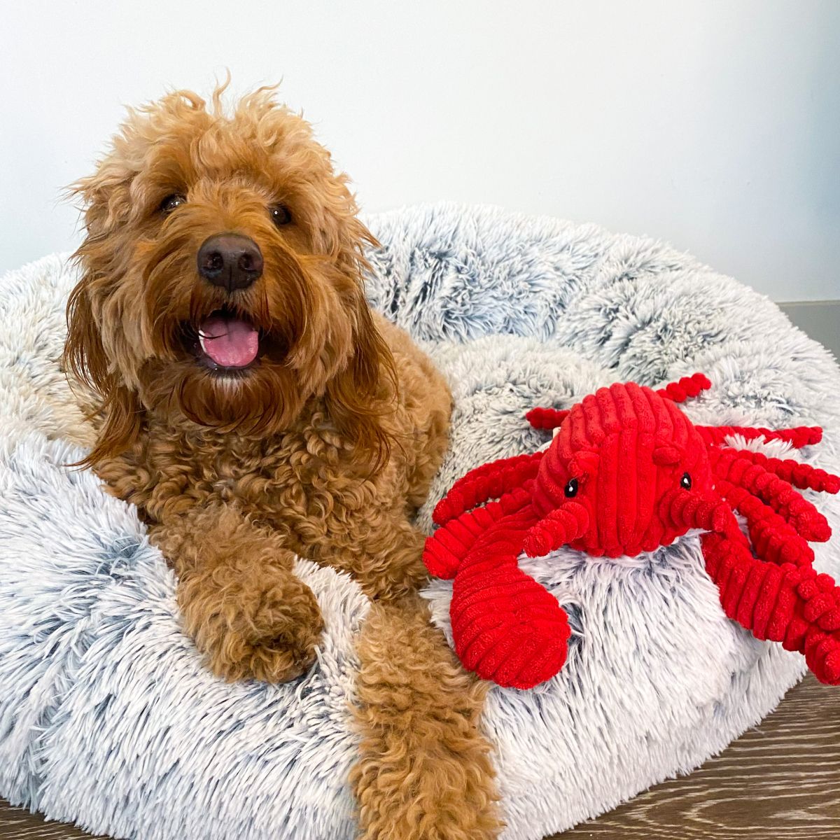 Tall Tails Crunch Lobster Squeaker Dog Toy, 14 inch