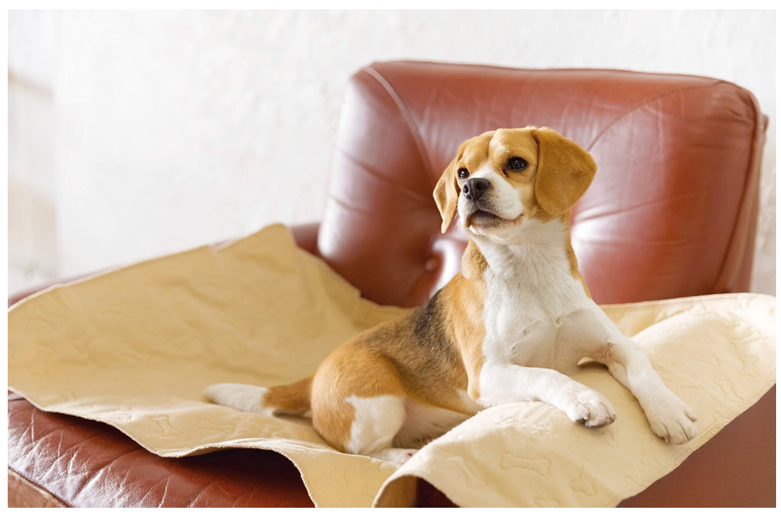 Tall Tails Waterproof Dog Pad – Tan, Large 33 x 21 Inch