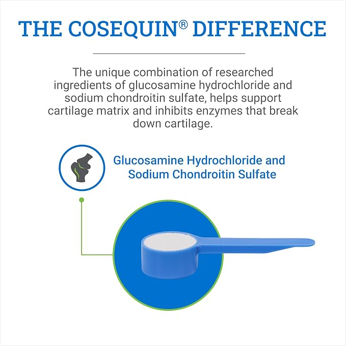 Nutramax Cosequin Original Horse Joint Health Supplement, Powder, 280g