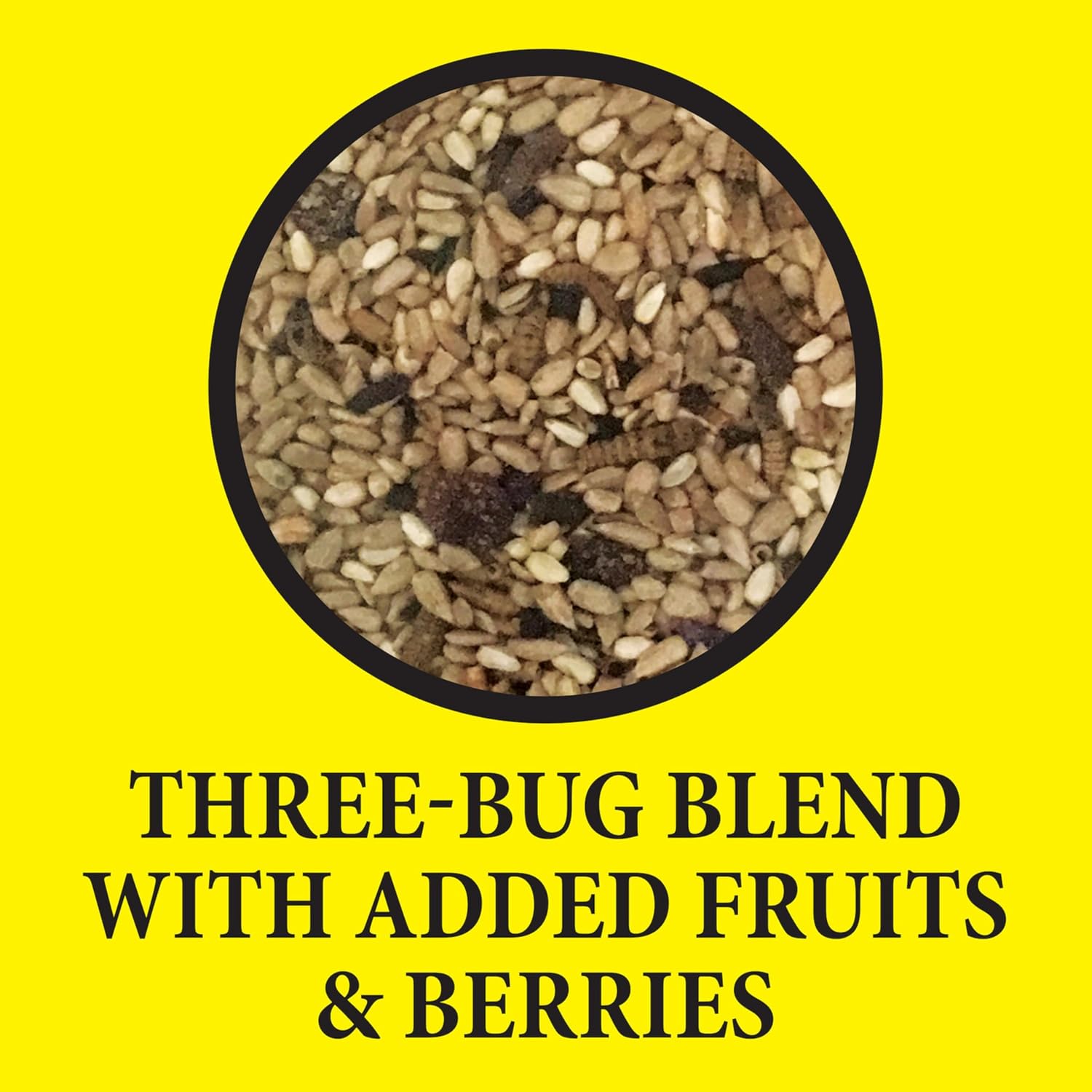 Wild Delight Bugs N Berries Wild Bird Food – 14 lb
