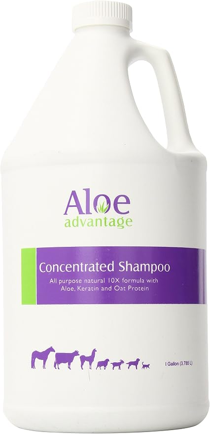 Aloe Concentrated Shampoo 1 Gallon