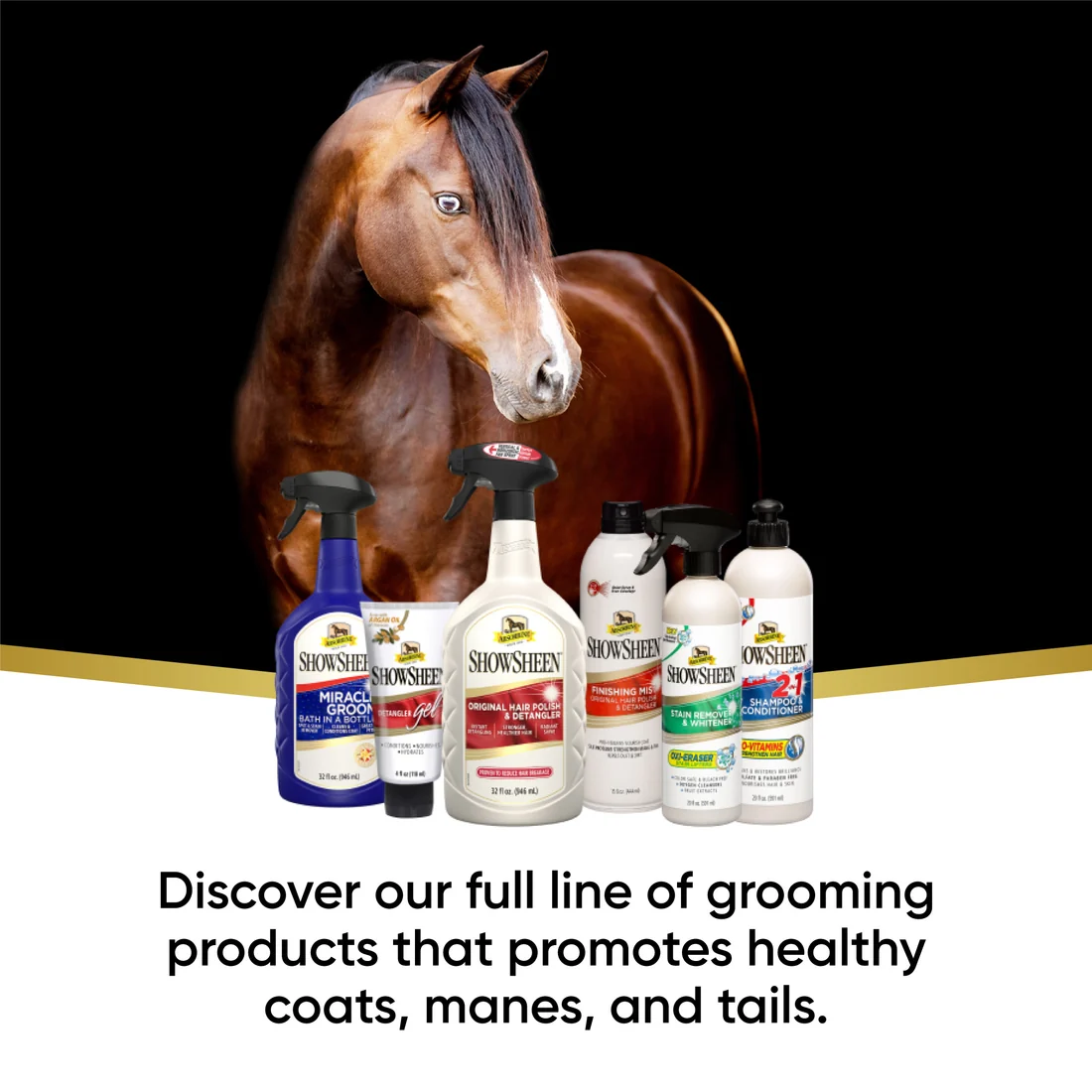 ShowSheen Stain Remover 20oz 