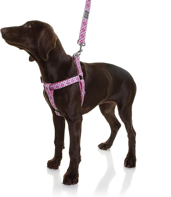 DOOG Gromit Neoflex Dog Harness, Small, Navy & Red, Soft Quick-Dry Neoprene Harness