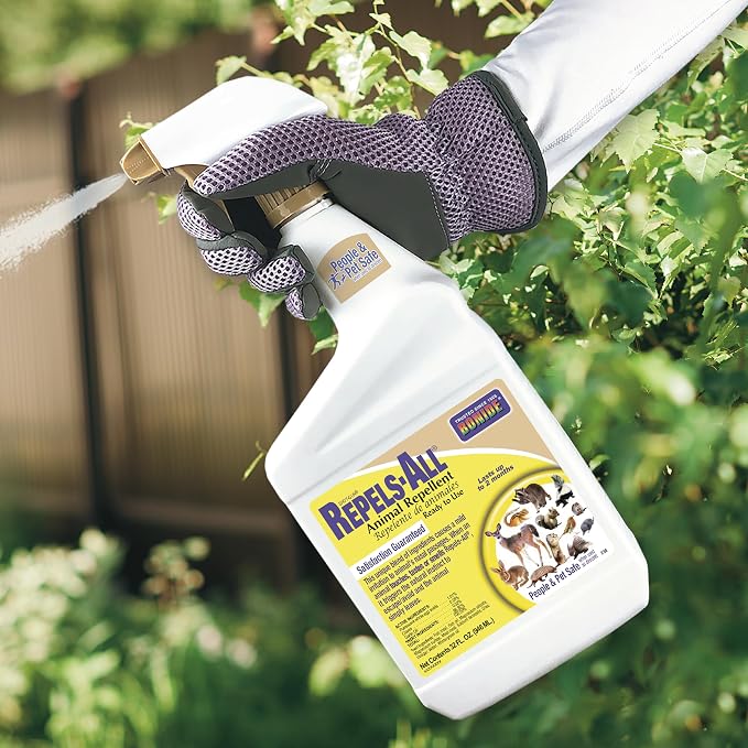 Bonide Repels-All Animal Repellent Ready-to-Use Spray 32 oz – Deer, Rabbit & Squirrel Repellent