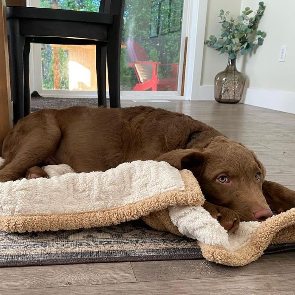 Tall Tails Cream Embossed Bone Dog Blanket 