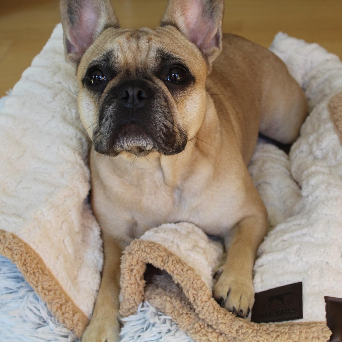 Tall Tails Cream Embossed Bone Dog Blanket 