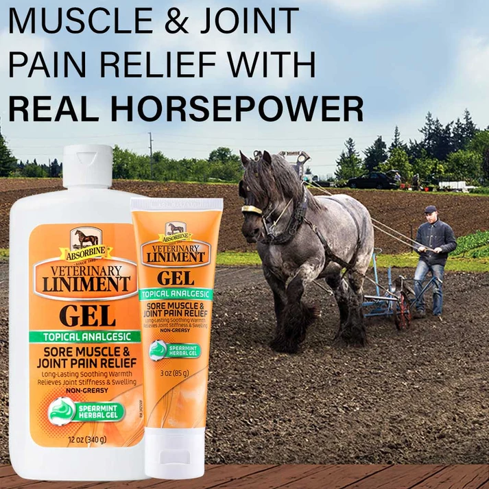 Vet Liniment Gel 3oz Tube 