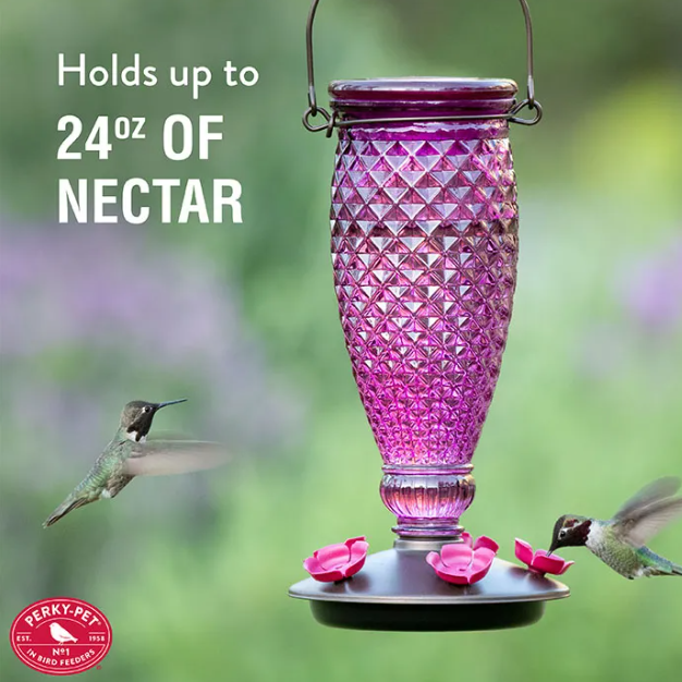 Diamond Wine Top-Fill Hummingbird Feeder – 24 oz