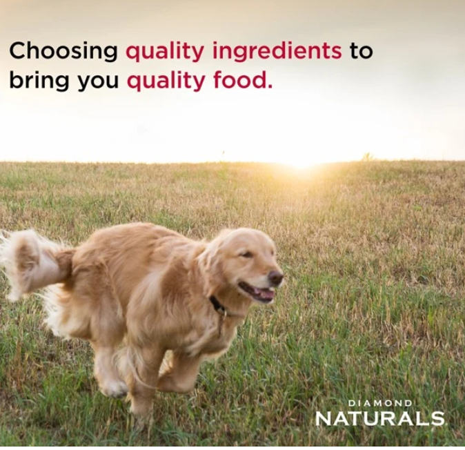 Diamond Naturals Beef Dinner Wet Dog Food for Adult Dogs & Puppies – 13.2 oz Cans, Case of 12  Brand: Diamond Naturals