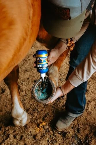 Vetericyn Mobility Hoof Care – 8 oz