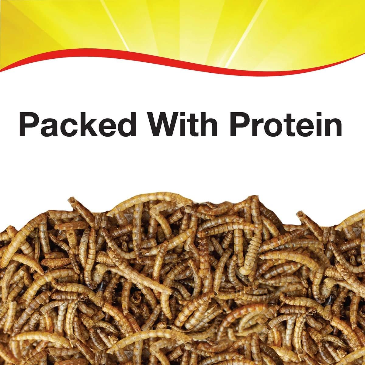 Wild Delight Mealworms Wild Bird Food – 16 oz