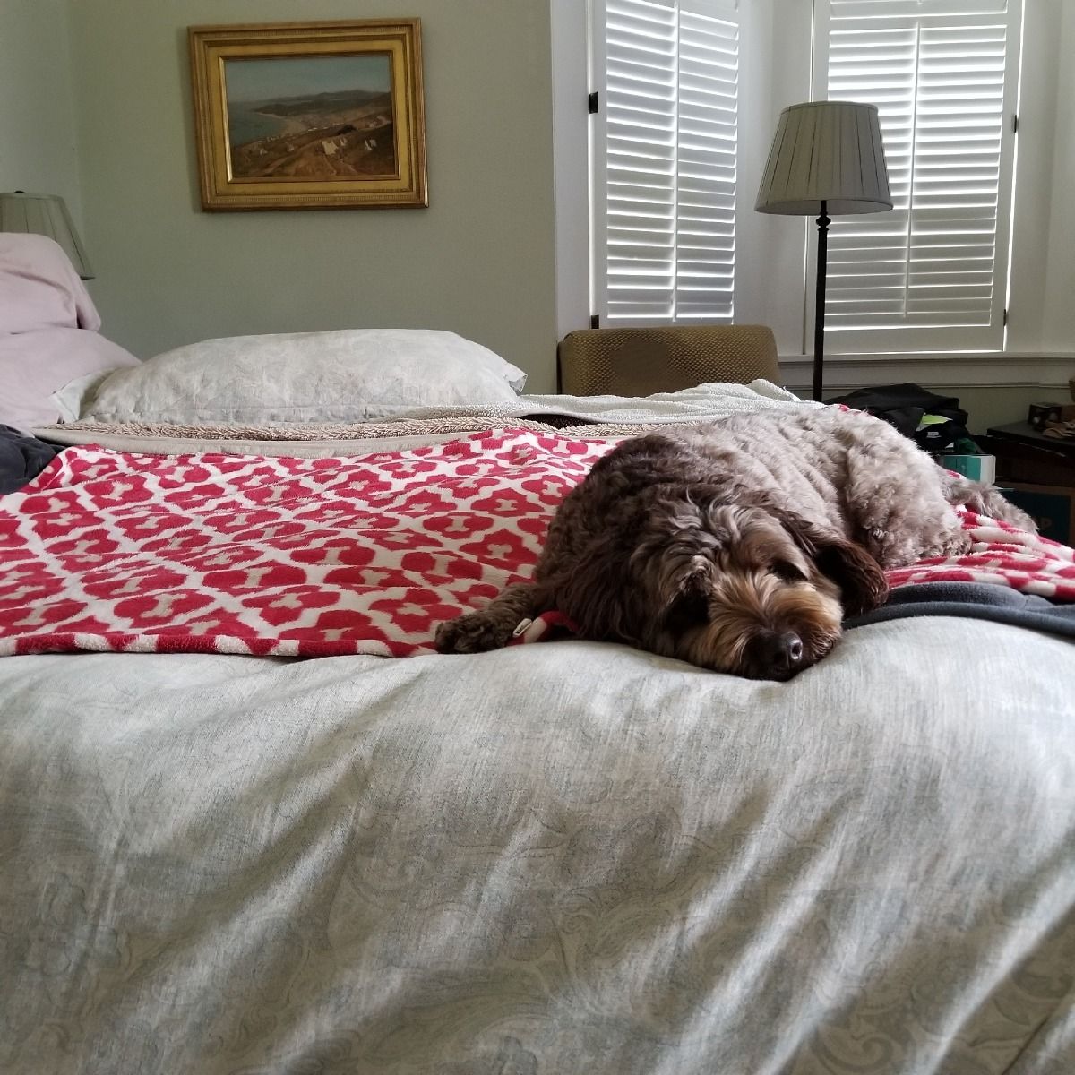 Tall Tails Red Bone Fleece Dog Blanket – 30 x 40 Inch