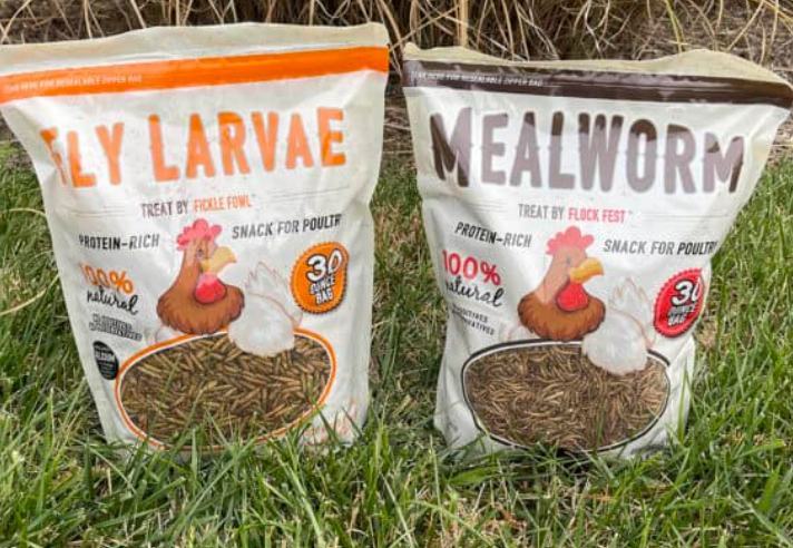 Mixed Mealworms & Fly Larvae 10 oz – High-Protein Feed for Wild Birds, Chickens & Reptiles