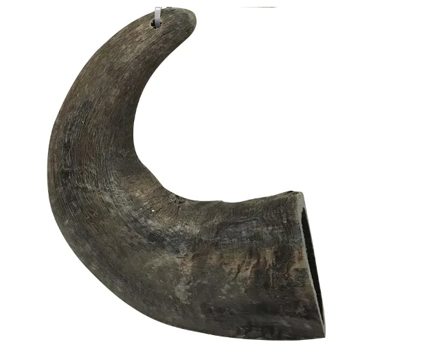 Mossy Oak Water Buffalo Horn Dog Chew, Medium – Natural Long-Lasting Chew — image 2