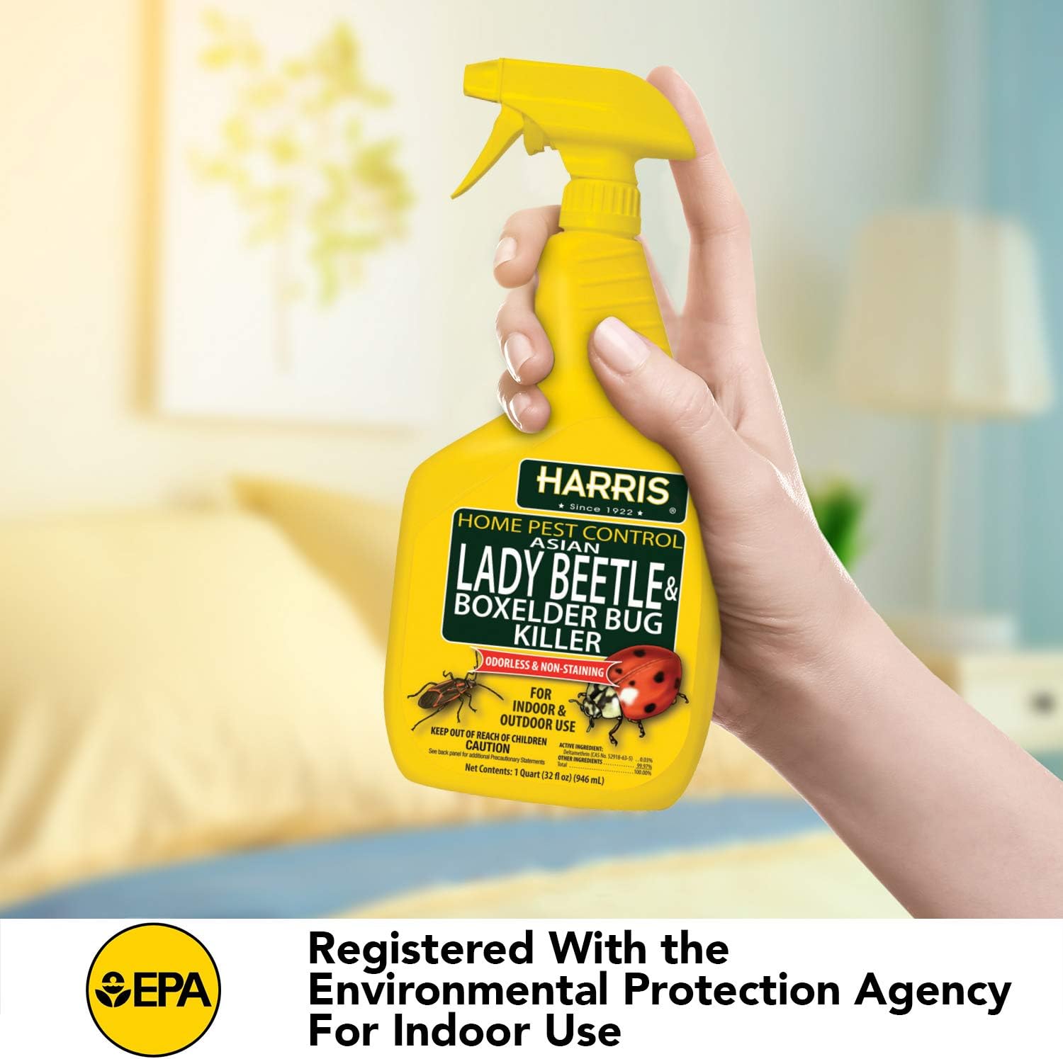Harris Asian Lady Beetle & Box Elder Bug Killer,32oz