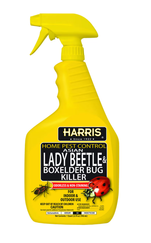 Harris Asian Lady Beetle & Box Elder Bug Killer,32oz