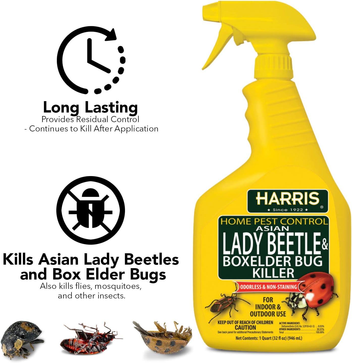 Harris Asian Lady Beetle & Box Elder Bug Killer,32oz