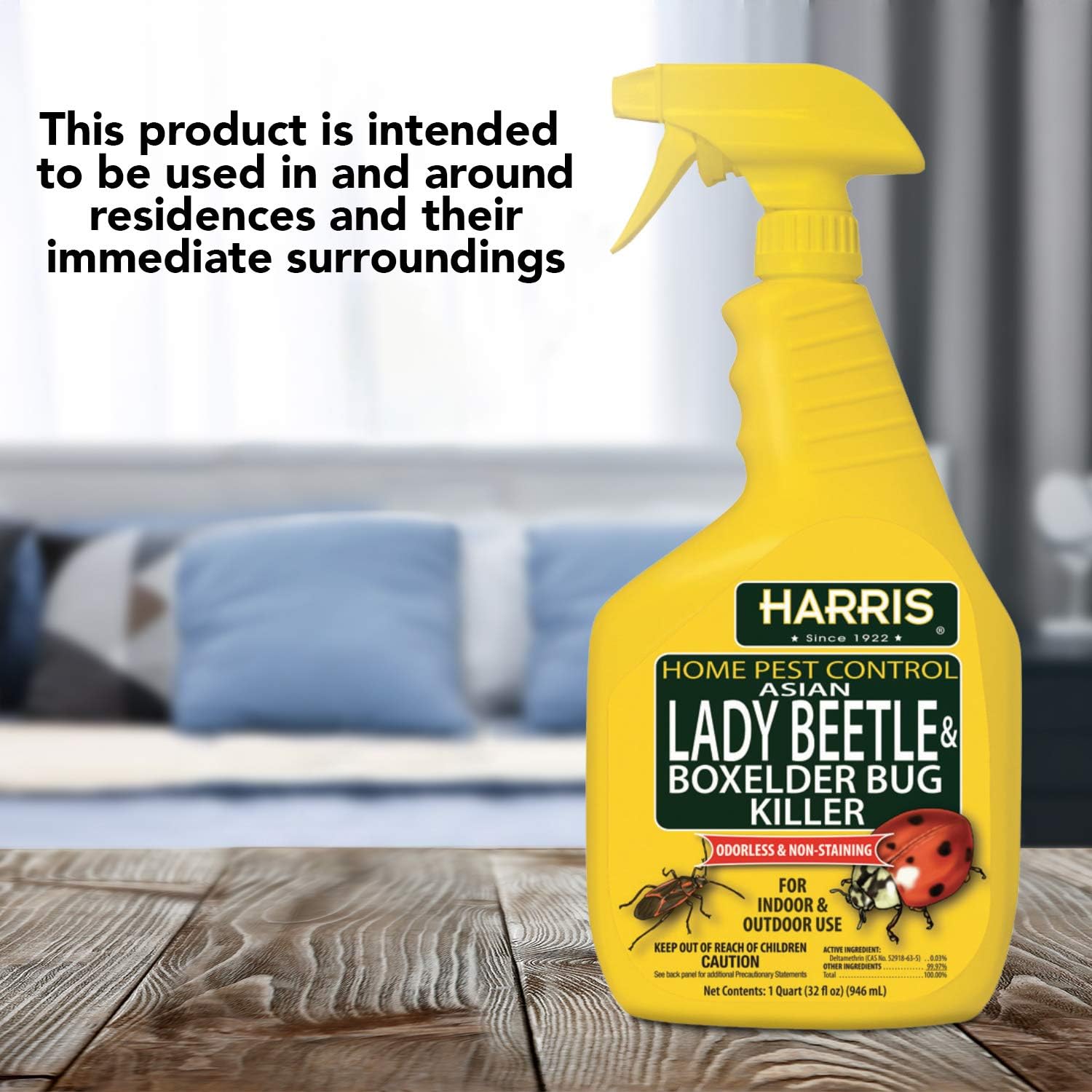Harris Asian Lady Beetle & Box Elder Bug Killer,32oz