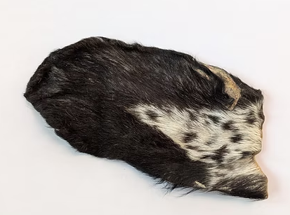 QT Dog Goat Hearz Natural Goat Ear Dog Chew — image 1