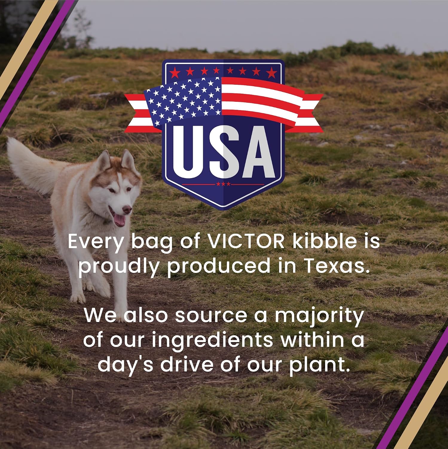 VICTOR Professional Dry Dog Food – 30 lb — image 10