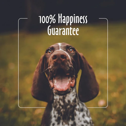 Travel Wipes-Puppy 30ct