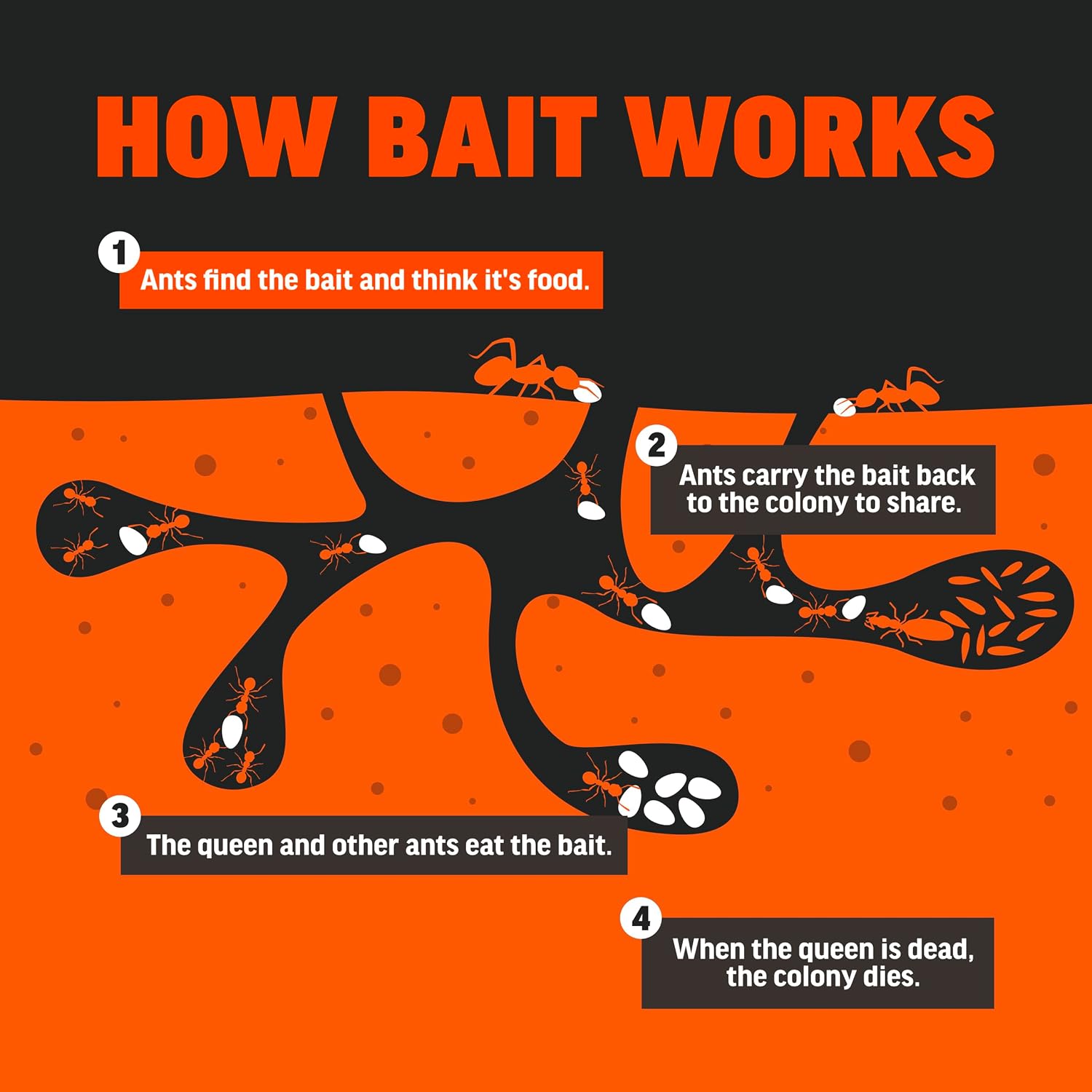AMDRO Fire Ant Bait 2lb