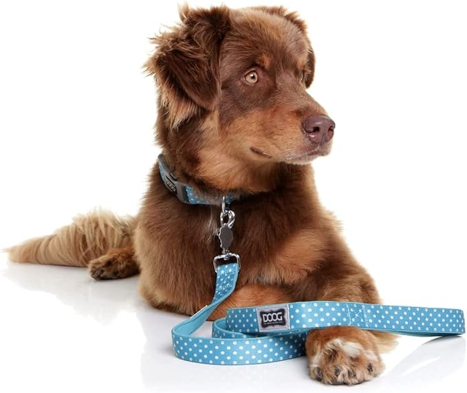DOOG Snoopy Neoprene Dog Leash – Blue with White Spots, Lightweight Quick-Dry Lead