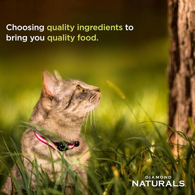 Diamond Naturals® Kitten Chicken & Rice Formula 6 Lbs