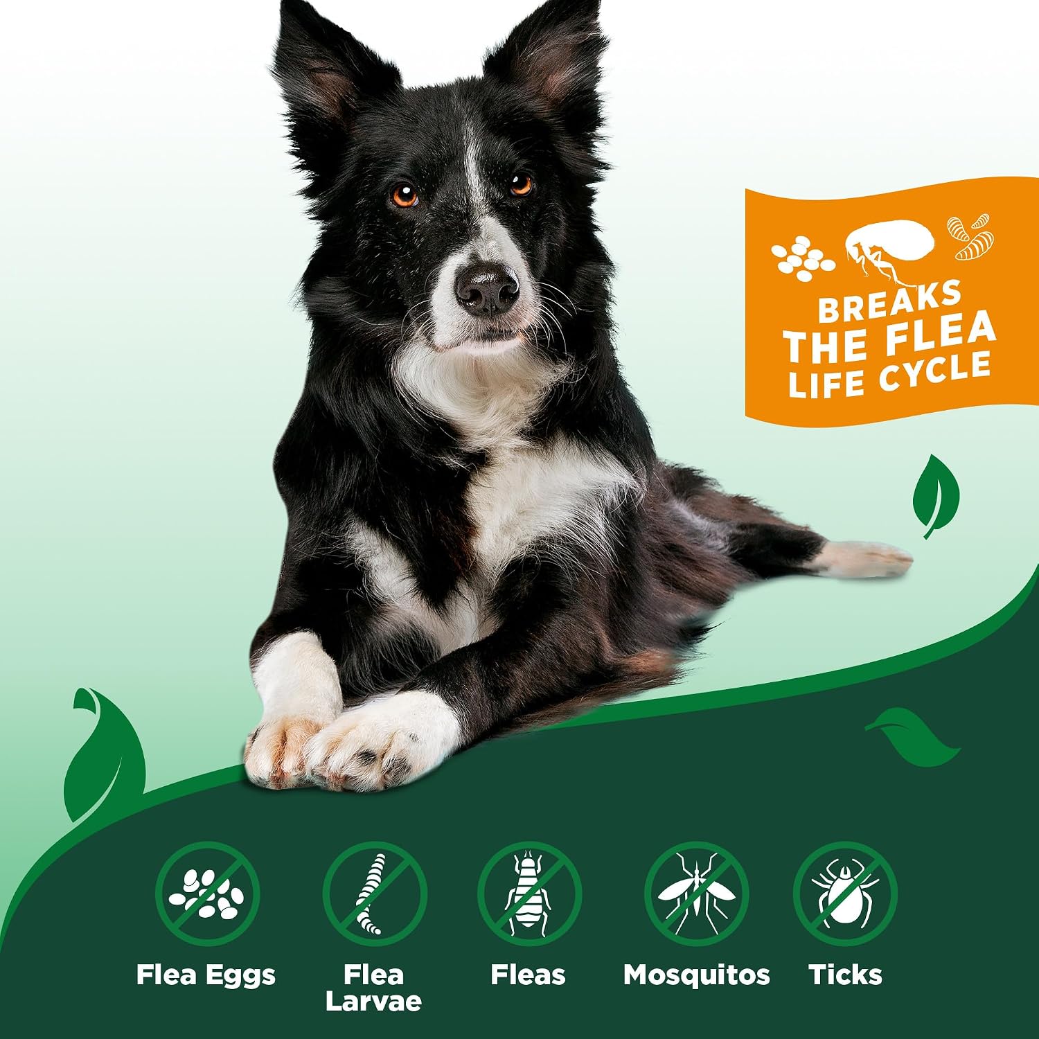 Vet's Best Indoor Flea & Tick Home Spray for Dogs, Plant-Based Spray, 32 oz