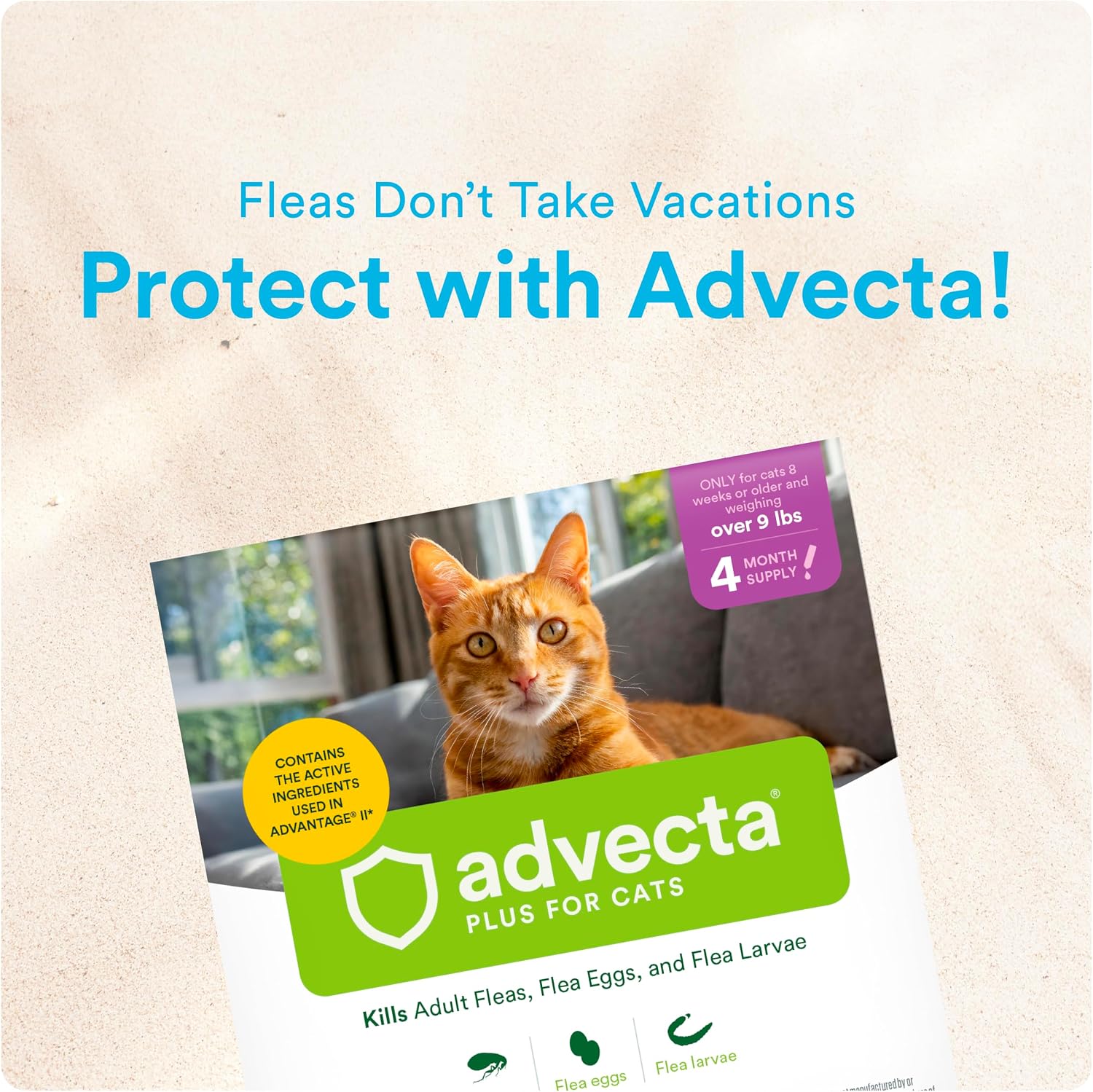 Advecta Plus Flea Treatment for Large Cats Over 9 lbs – Waterproof Topical Flea Prevention, 4 Doses / 4-Month Supply