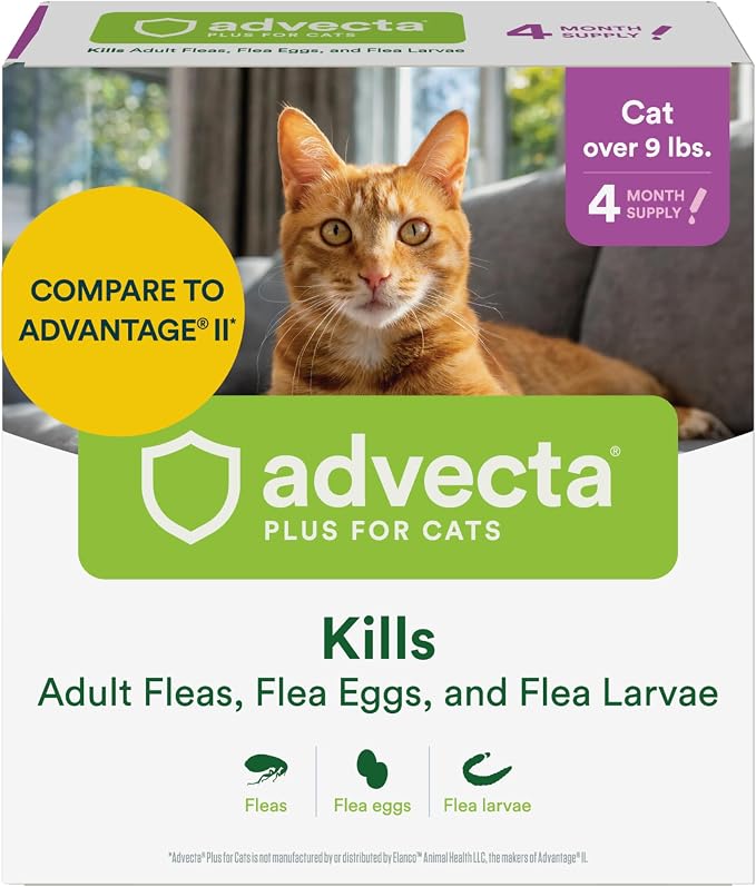 Advecta Plus Flea Treatment for Large Cats Over 9 lbs – Waterproof Topical Flea Prevention, 4 Doses / 4-Month Supply