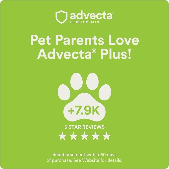 Advecta Plus Flea Treatment for Large Cats Over 9 lbs – Waterproof Topical Flea Prevention, 4 Doses / 4-Month Supply