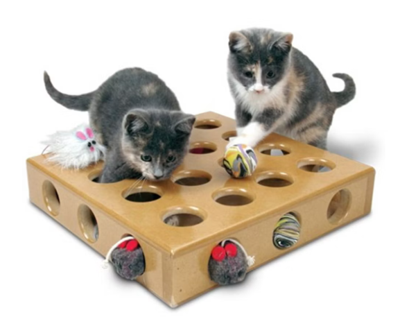 Pioneer Pet SmartCat Peek-a-Prize Toy Box with 2 Toys