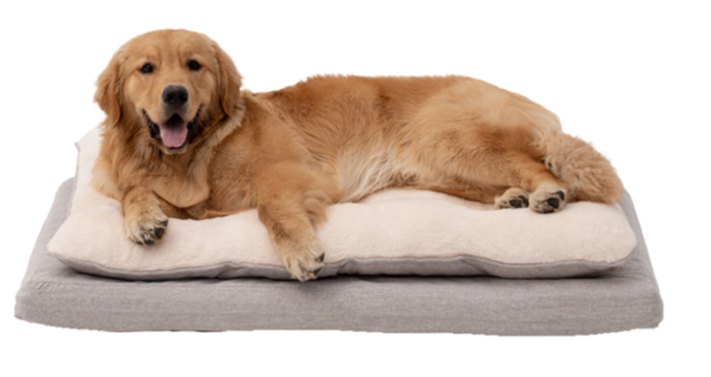 Territory Orthopedic Pillow Top Dog & Cat Bed – Supportive Plush Pet Bed, Khaki