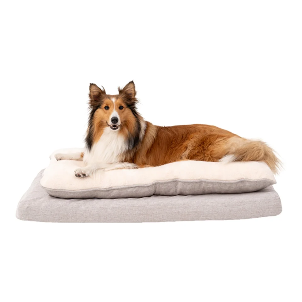 Territory Orthopedic Pillow Top Dog & Cat Bed – Supportive Plush Pet Bed, Khaki
