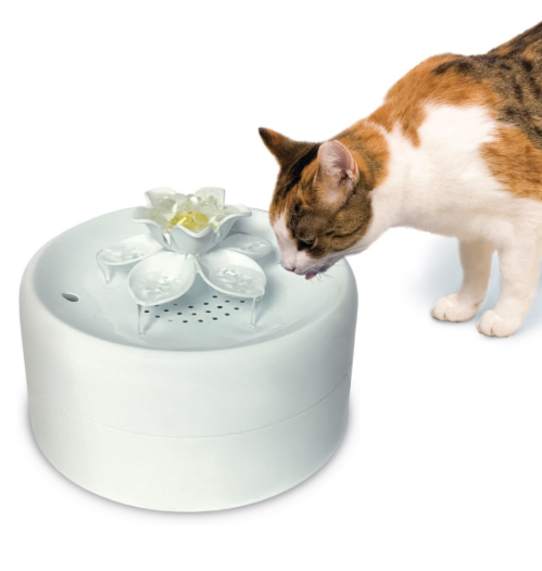 Pioneer Pet Magnolia Pet Fountain – 55 oz