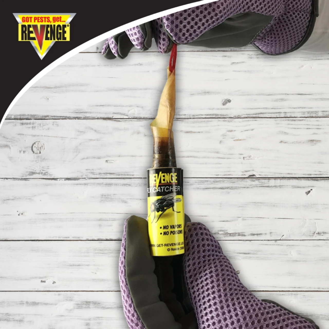 Bonide Revenge Fly Catcher Ribbons – Odorless, Poison-Free Sticky Fly Traps, 5-Pack (Bonide)