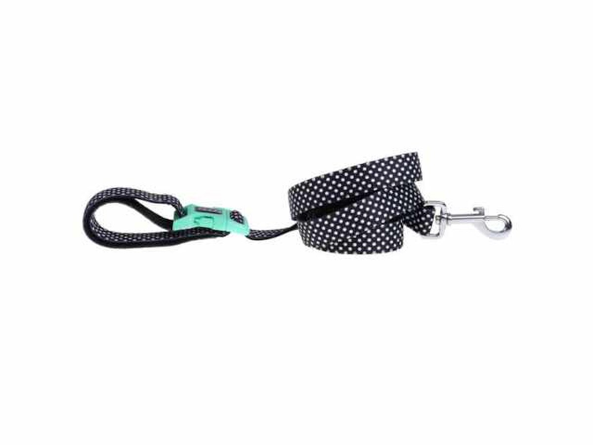DOOG Pongo Clip-It Dog Lead – 6 ft Neoprene Dog Leash with Adjustable Clip Handle