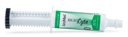 AniMed RightLyte Equine Electrolyte Gel – Sugar-Free Horse Hydration & Electrolyte Supplement, 60 mL Syringe