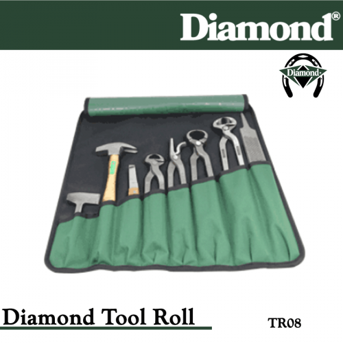Diamond 8-Piece Tool Roll