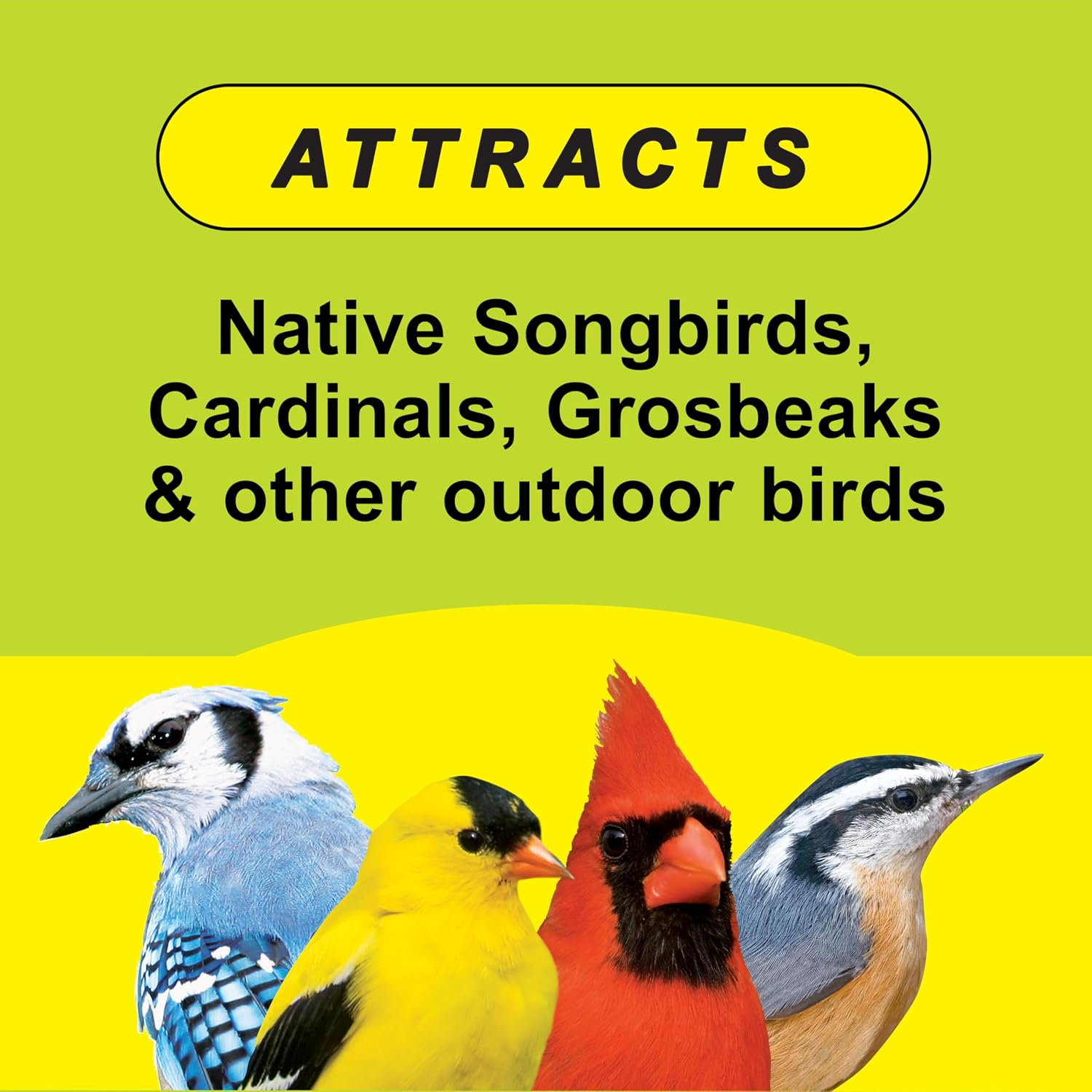 Wild Delight Deck, Porch N’ Patio Premium Zero-Waste Wild Bird Food – 5 lb Bag